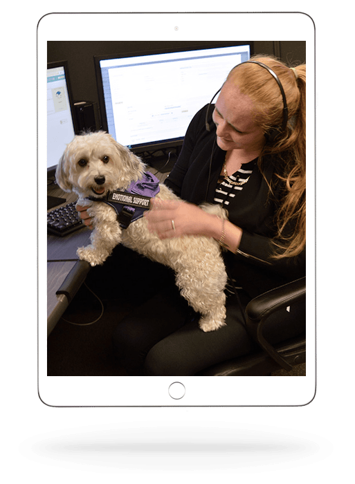 Agent with dog on ipad